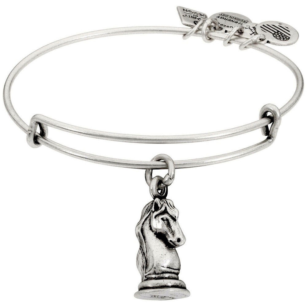 Alex and Ani The Knight Charm Bangle Bracelet - Rafaelian Silver Finish